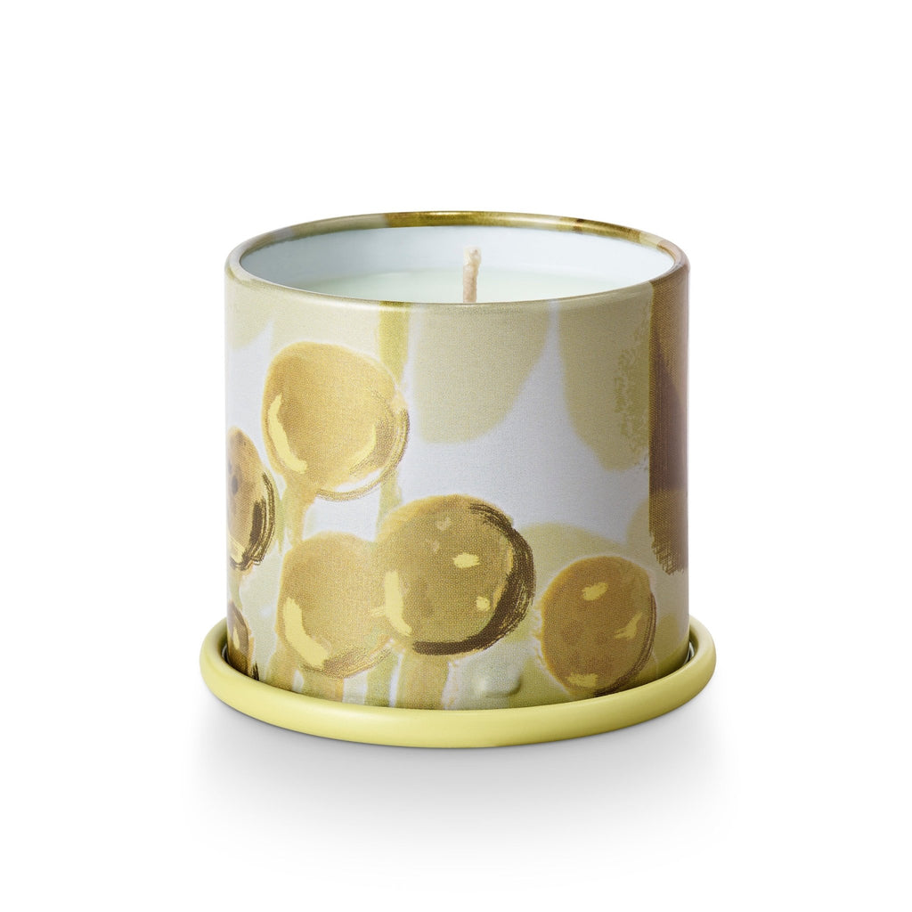 Borealis Moss Demi Vanity Tin Candle - Illume Candles - 45364006000