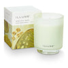 Borealis Moss Refillable Boxed Glass Candle - Illume Candles - 45375006000