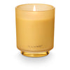 Santal Birch Refillable Boxed Glass Candle - Illume Candles - 45375009000