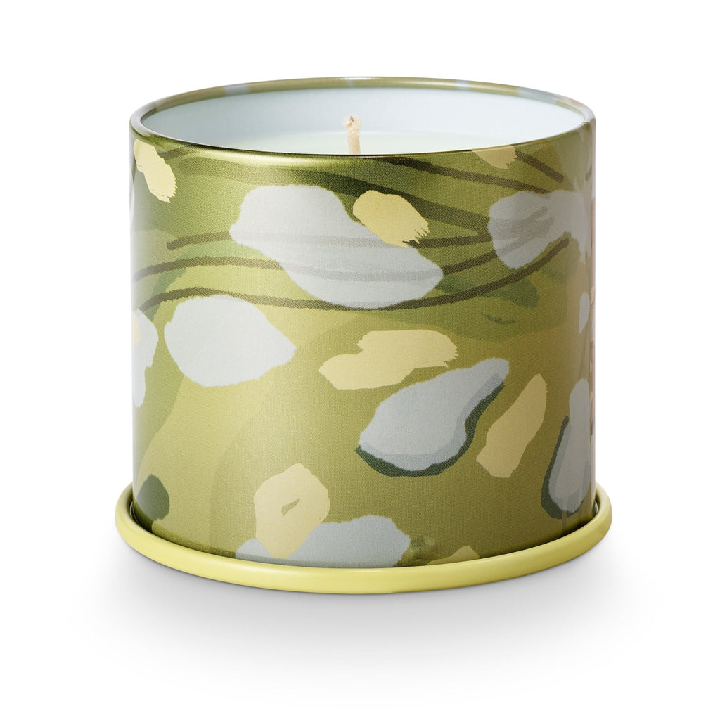 Borealis Moss Vanity Tin Candle - Illume Candles - 46263006000