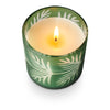 Sugar Pine Pine Glass Candle - Illume Candles - 46288059000