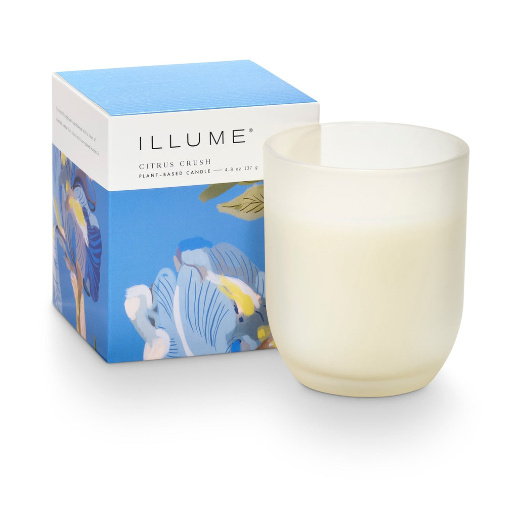 Citrus Crush Baby Boxed Glass Candle - Illume Candles - 46319343000