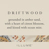 Driftwood Refillable Boxed Glass Candle - Illume Candles - 45375005000