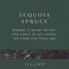 Sequoia Spruce Pine Glass Candle - Illume Candles - 46288060000