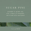 Sugar Pine Pine Glass Candle - Illume Candles - 46288059000