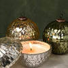 North Sky Mercury Ornament Candle - Illume Candles - 45238083000