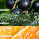 Confetti Balsam Large Glitz Glass