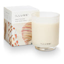 Driftwood Refillable Boxed Glass Candle