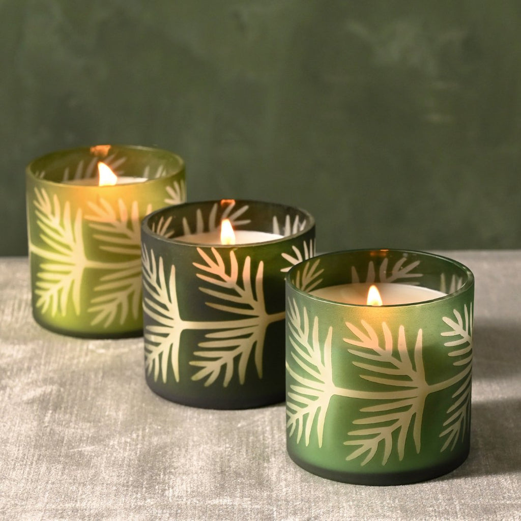 Sequoia Spruce Pine Glass Candle - Illume Candles - 46288060000