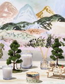 Picnic in the Park Daydream Glass Candle - Illume Candles - 45242001000