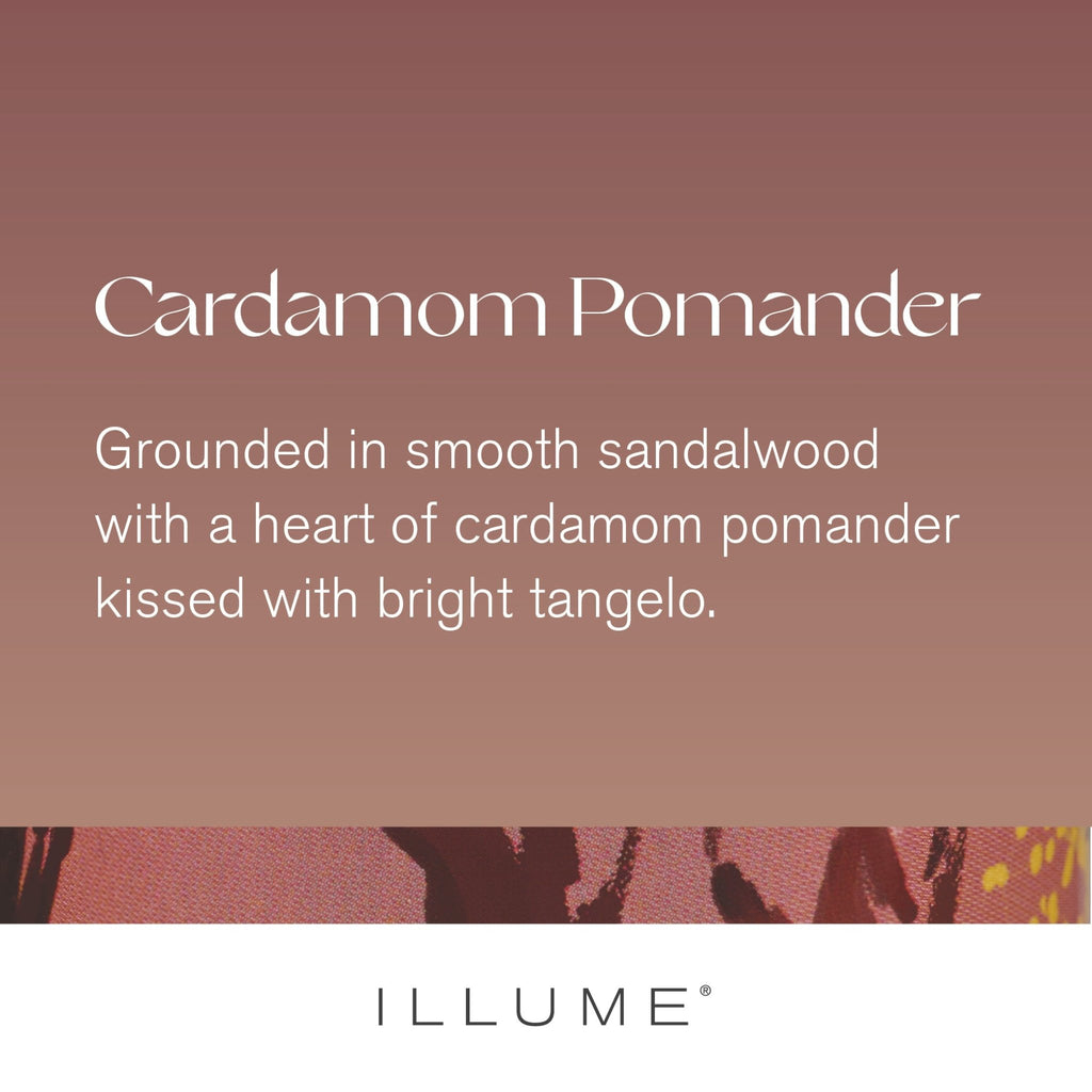 Cardamom Pomander Demi Vanity Tin Candle - Illume Candles - 45364011000