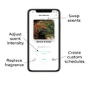 Balsam & Cedar Pura Fragrance Refill